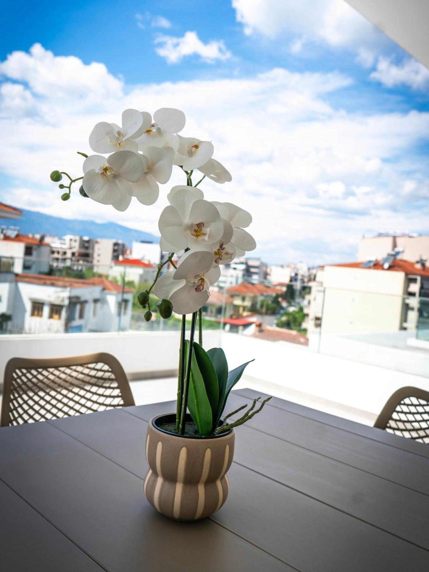 White Luxury Apartment Trikala  Exterior photo